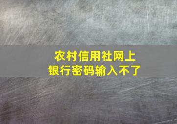 农村信用社网上银行密码输入不了