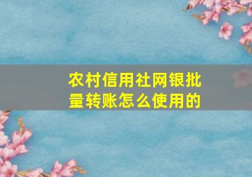 农村信用社网银批量转账怎么使用的