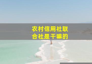 农村信用社联合社是干嘛的