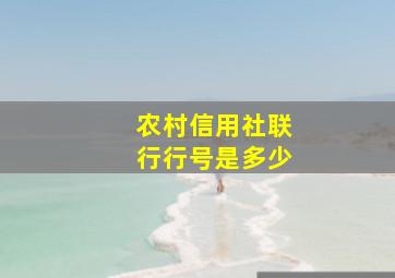 农村信用社联行行号是多少