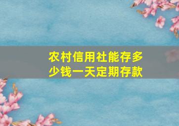 农村信用社能存多少钱一天定期存款