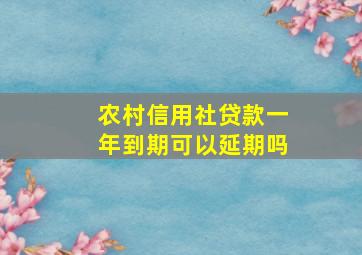 农村信用社贷款一年到期可以延期吗