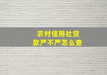 农村信用社贷款严不严怎么查