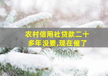 农村信用社贷款二十多年没要,现在催了