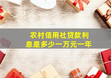 农村信用社贷款利息是多少一万元一年