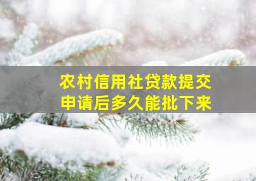 农村信用社贷款提交申请后多久能批下来