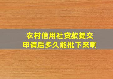 农村信用社贷款提交申请后多久能批下来啊