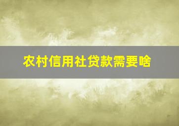 农村信用社贷款需要啥