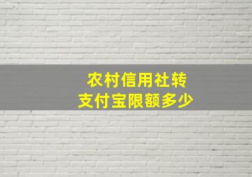 农村信用社转支付宝限额多少