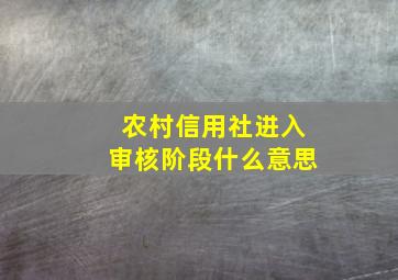 农村信用社进入审核阶段什么意思