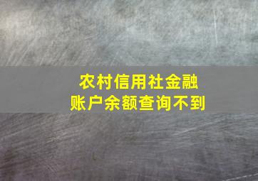 农村信用社金融账户余额查询不到