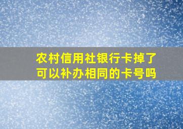 农村信用社银行卡掉了可以补办相同的卡号吗