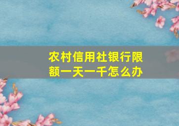 农村信用社银行限额一天一千怎么办