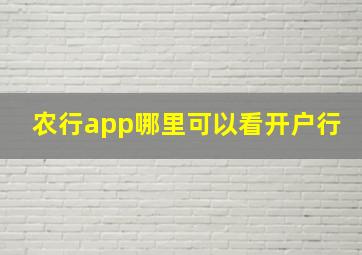 农行app哪里可以看开户行