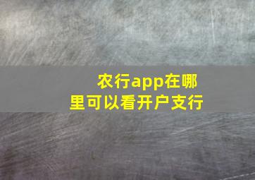 农行app在哪里可以看开户支行