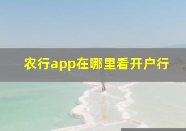 农行app在哪里看开户行