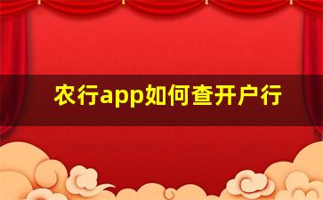 农行app如何查开户行