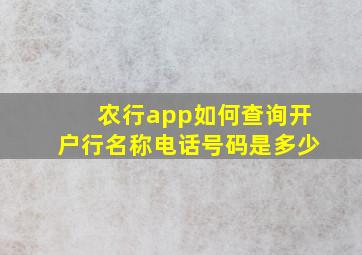 农行app如何查询开户行名称电话号码是多少