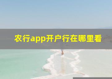 农行app开户行在哪里看