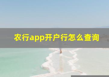 农行app开户行怎么查询