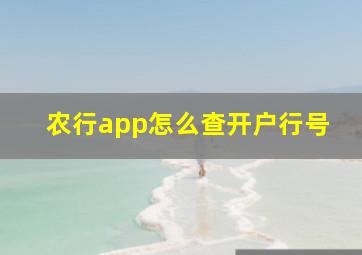 农行app怎么查开户行号