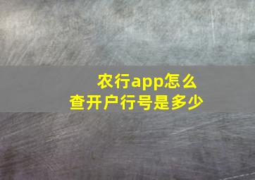 农行app怎么查开户行号是多少