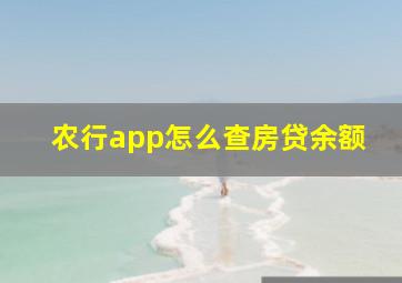 农行app怎么查房贷余额