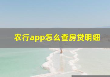 农行app怎么查房贷明细