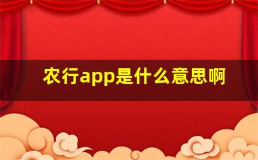 农行app是什么意思啊