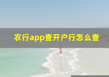 农行app查开户行怎么查