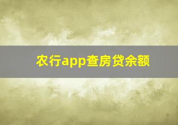 农行app查房贷余额