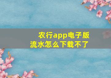 农行app电子版流水怎么下载不了