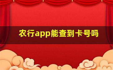 农行app能查到卡号吗