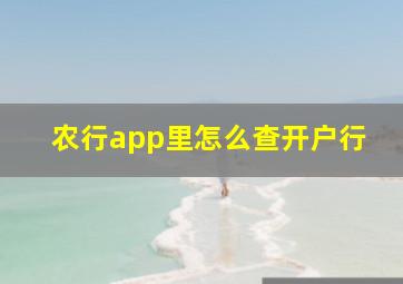 农行app里怎么查开户行