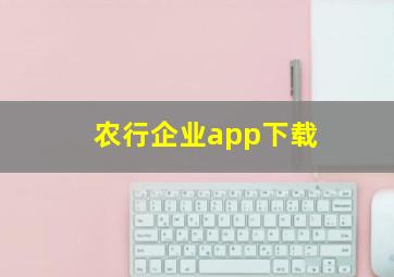 农行企业app下载