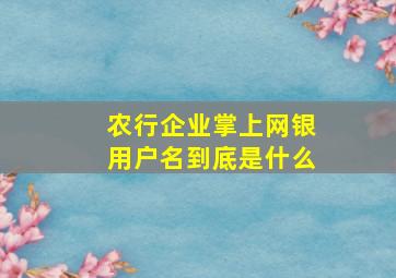 农行企业掌上网银用户名到底是什么