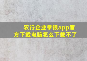 农行企业掌银app官方下载电脑怎么下载不了