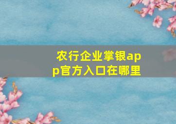 农行企业掌银app官方入口在哪里