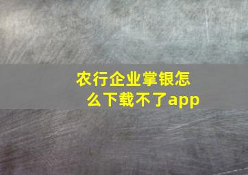 农行企业掌银怎么下载不了app