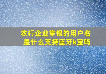 农行企业掌银的用户名是什么支持蓝牙k宝吗