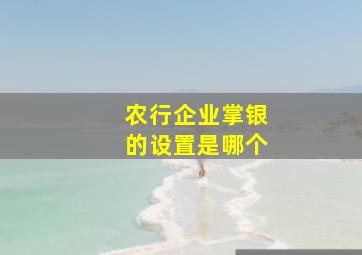 农行企业掌银的设置是哪个