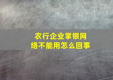 农行企业掌银网络不能用怎么回事