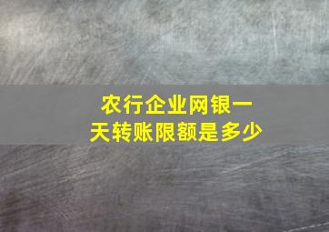 农行企业网银一天转账限额是多少