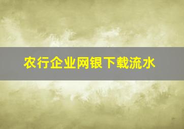 农行企业网银下载流水