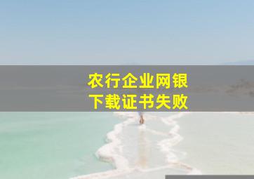 农行企业网银下载证书失败