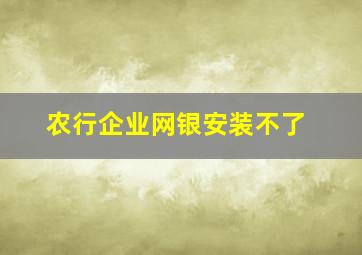 农行企业网银安装不了