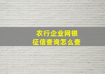 农行企业网银征信查询怎么查