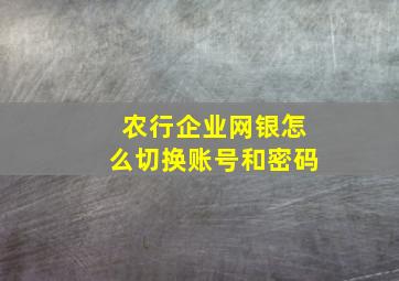 农行企业网银怎么切换账号和密码