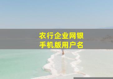 农行企业网银手机版用户名