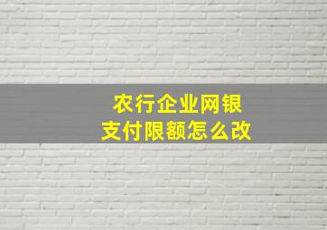 农行企业网银支付限额怎么改